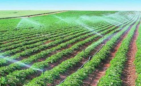 外国鸡巴插艹农田高 效节水灌溉
